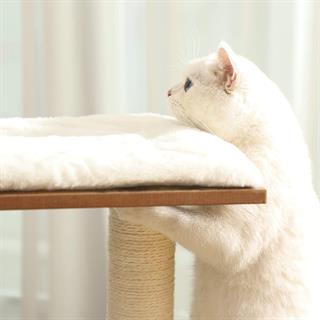 Miljøbillede af kat på Vasagle kattetræ i rustik brun og hvid.