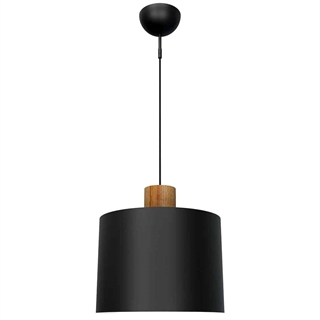 Log 30 loftslampe i sort fra Design by Grönlund