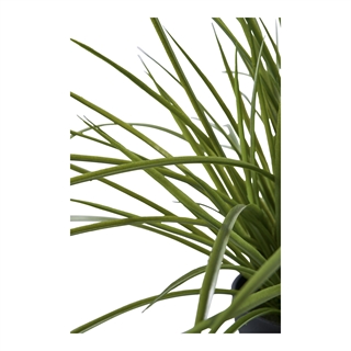Græs kunstig plante fra House Nordic.