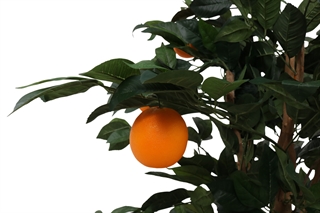 Kunstigt appelsintræ.