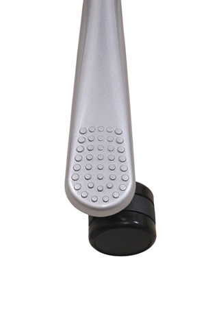 Det sølvgrå fodkryds set tæt på.