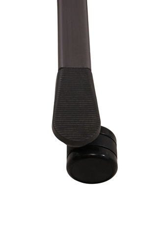 Det mørkegrå fodkryds set tæt på.