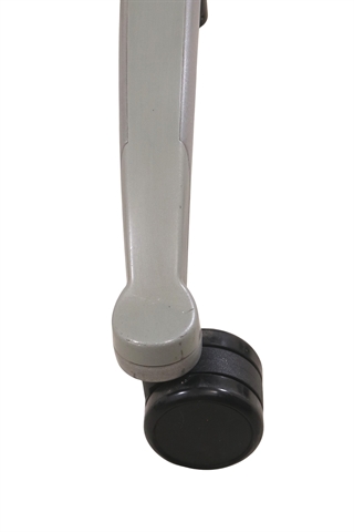 Det sølvgrå fodkryds set tæt på.