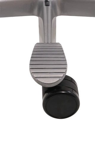 Det sølvgrå fodkryds set tæt på.