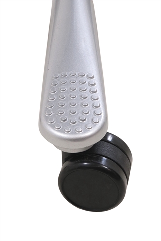 Det sølvgrå fodkryds set tæt på.