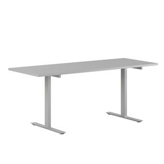 Elegant skrivebord i høj kvalitet fra Elj i grå/sølvgrå.