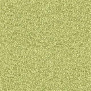 Farveprøve lime Xtreme stof