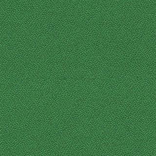 Farveprøve grøn Xtreme stof