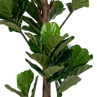 Nærbillede af Fiddle kunstig plante 100 cm høj fra House Nordic.