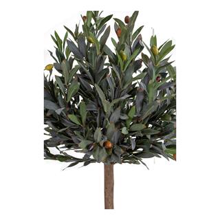 Flot kvalitsdekoration fra House nordic i kunstigt plante 120.